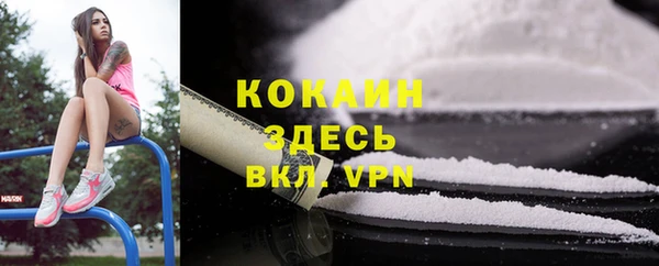 mix Пересвет