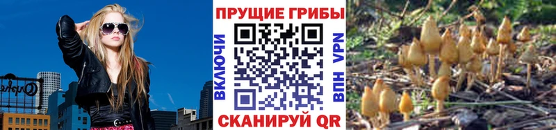 Галлюциногенные грибы GOLDEN TEACHER  Гремячинск 